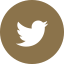 a brown and white twitter logo