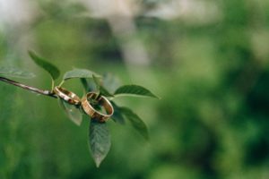 two gold wedding rings on top of a branch