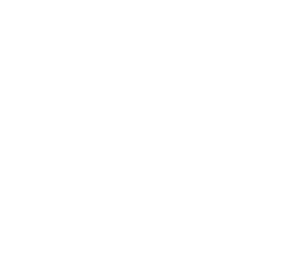The NYJDI diamond icon